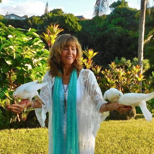 6a62502c4b117_bird in hand